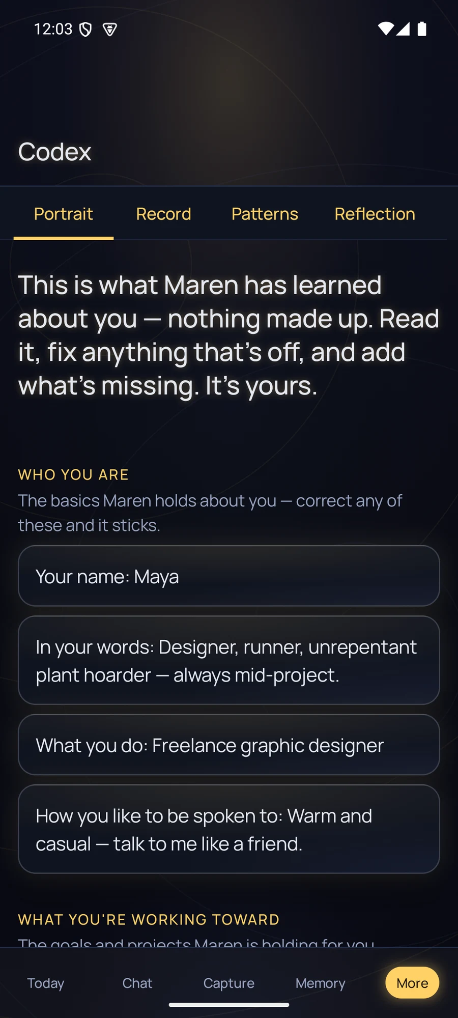 Maren's Codex, the whole picture of you, in the Vaultlight theme